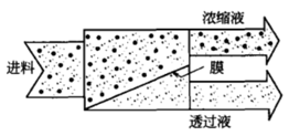 圖片名稱